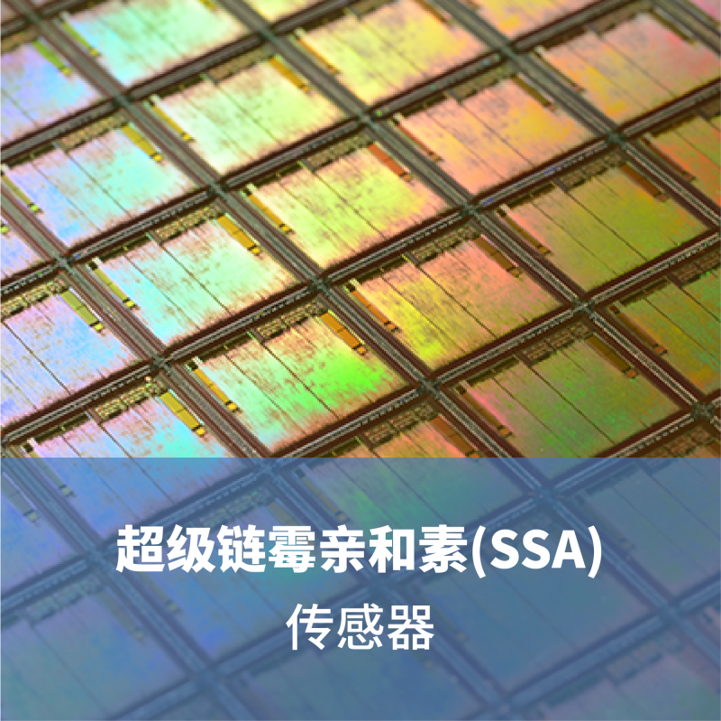 LifeDiscTM  超級鏈霉親和素(SSA)傳感器